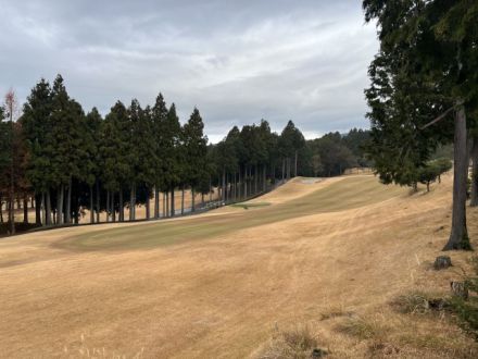 斉藤リョーツのいただき！ゴルフ！