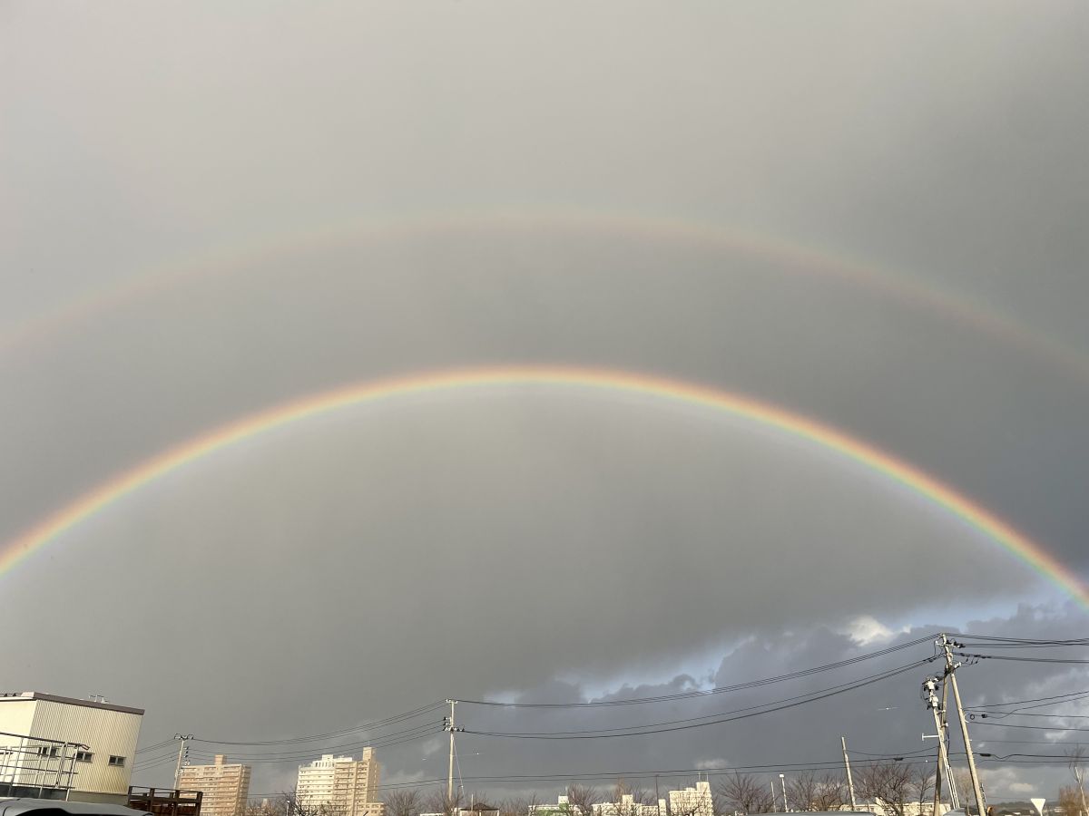 第223回【ジョーダン？じょうだん？】