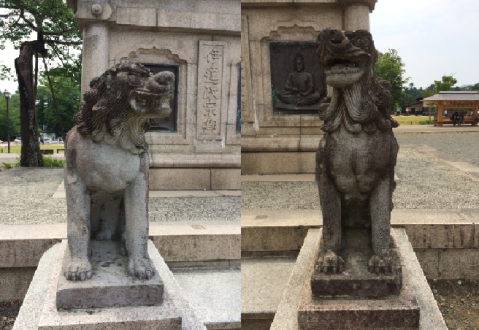 6月17日（水）担当：村上祐資