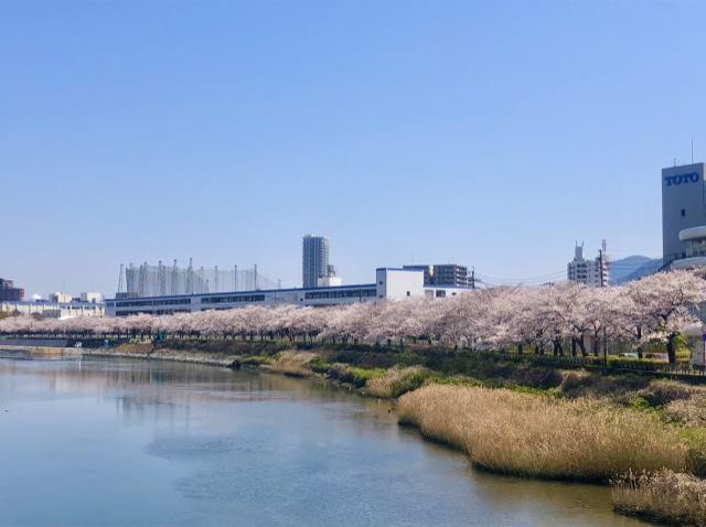 4月9日（木）　今日の1コマ　