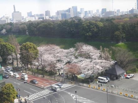 3月26日（月）  今日のメニューは？