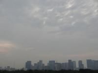 ７月２４日（木）