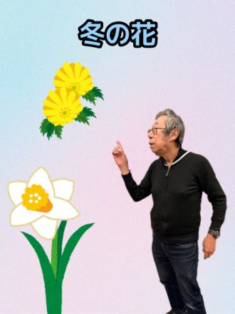 冬の花