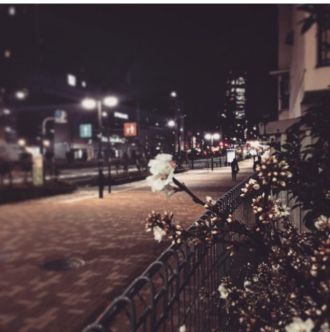 3月27日（月）今日の1コマ