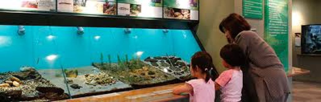 街フェスオンサンデー