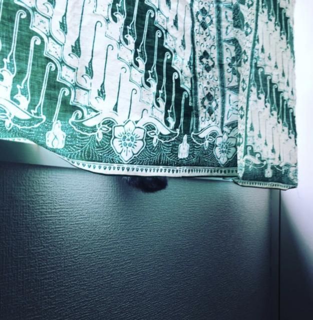 5月14日（月）今日の1コマ　