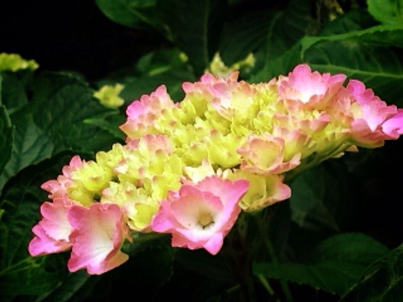 6月4日（木）今日の1コマ