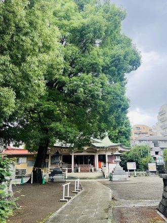 2024年6月4日分　近藤金吾のPODCAST その7～噛みチンのその先へ～