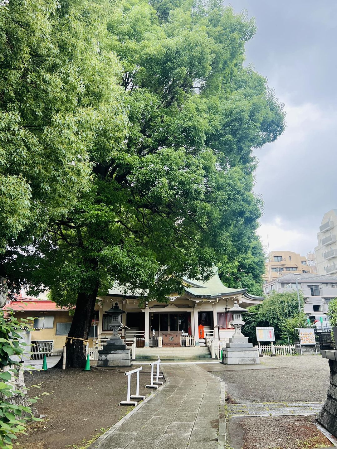 2024年6月4日分　近藤金吾のPODCAST その7～噛みチンのその先へ～