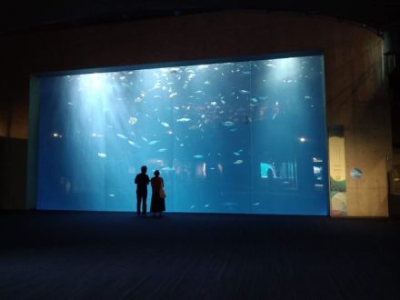 第104回「5年目の春、始まる?」2024.03.19