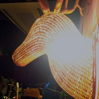 今日の1コマは「鹿さんのシンボル」