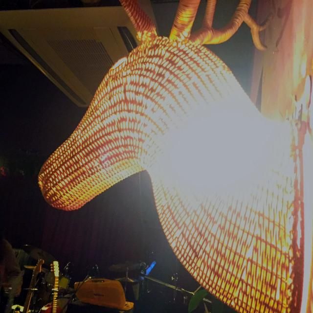 今日の1コマは「鹿さんのシンボル」