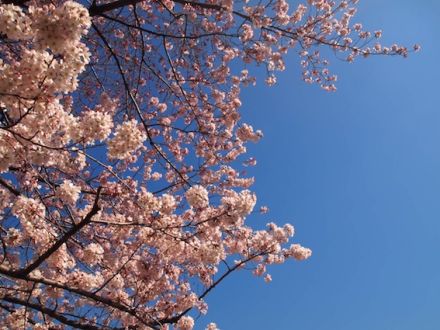 3月27日（金） simple style