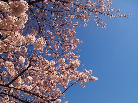 3月27日（金） simple style