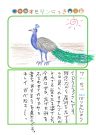 2026年7月5日「クジャクさんをみできましたよ」