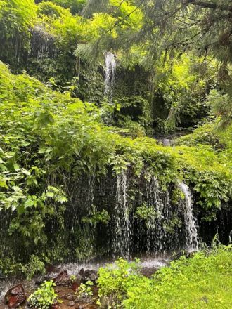 【Dear Japan～都留・わさびと湧き水～最終話】