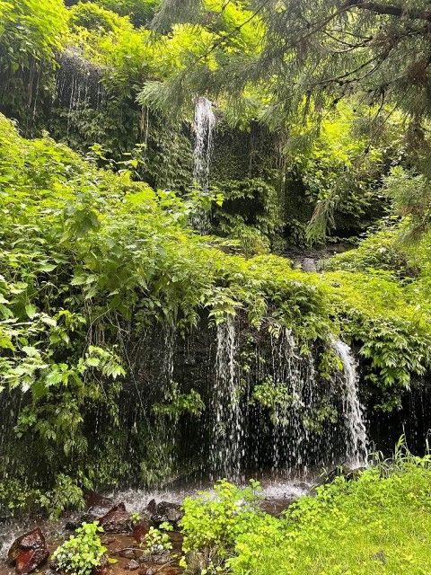 【Dear Japan～都留・わさびと湧き水～最終話】