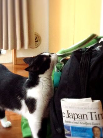 5月27日（水）今日の1コマ