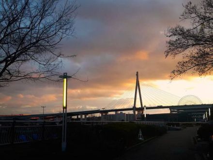 1月8日（月）  今日のメニューは？