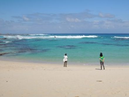 日本復帰60周年　音楽と巡る鹿児島県奄美大島