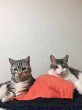 1月1日（月）今日の1コマ　