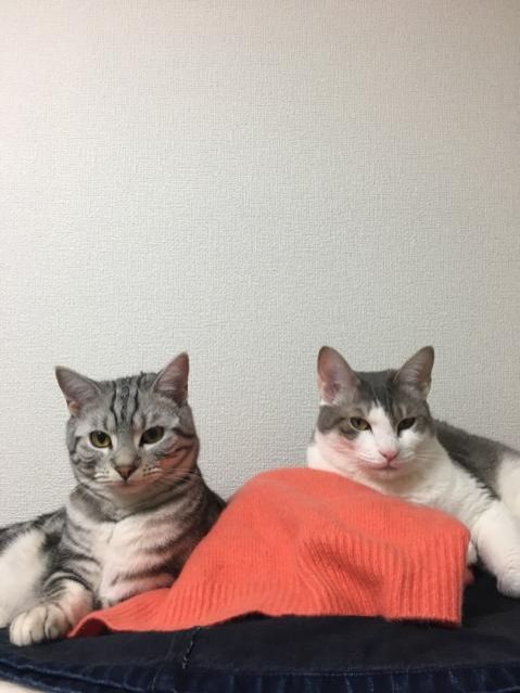 1月1日（月）今日の1コマ　