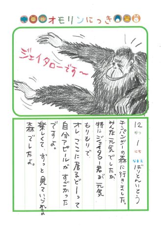 2024年12月1日「チンパンジーさんをみできましたよ」