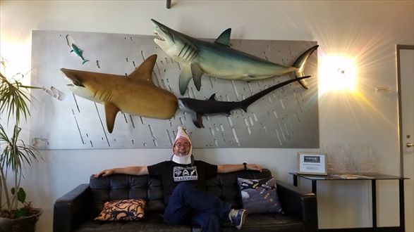 海より深い！？サメ映画の世界…