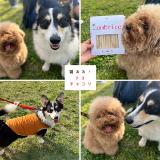 お悩み相談室「歯磨きはササっととでいいですか？」テコとまっぴーは昭和記念公園で開催されたSippo Festaへ