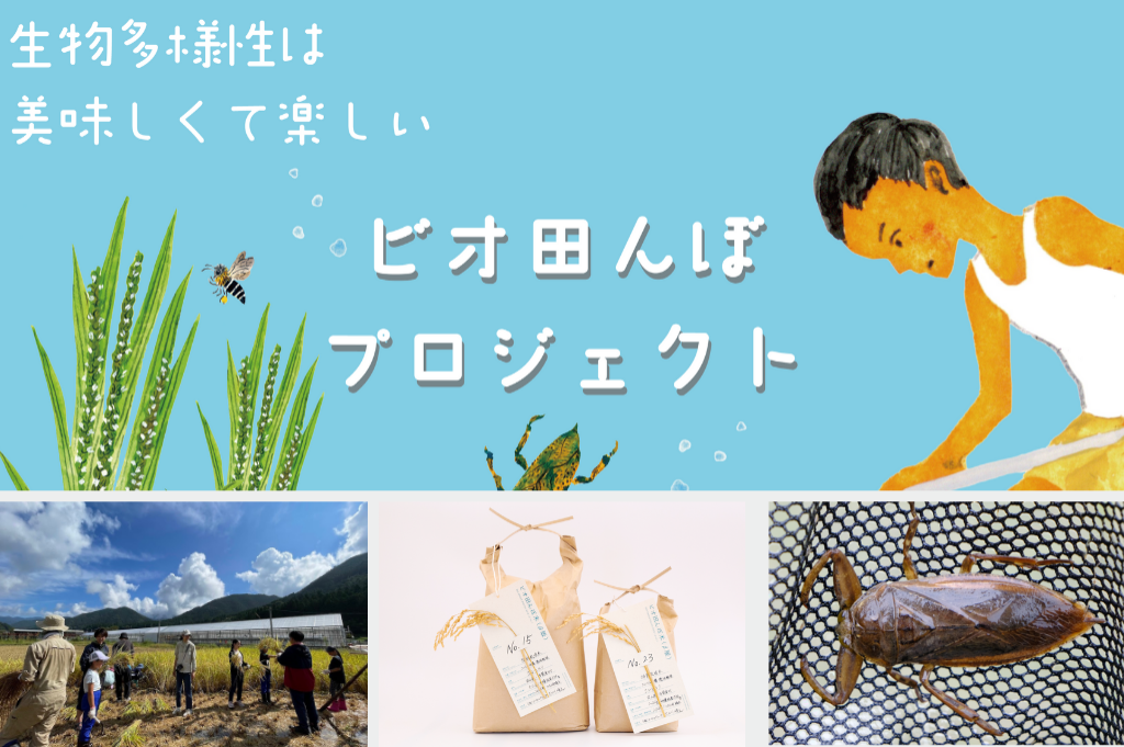 未来の里山を作る「ビオ田んぼプロジェクト」 株式会社エーゼログループ・太刀川晴之さん （岡山）