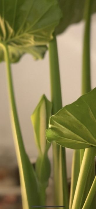 4月9日(金) 今日の1コマ♪