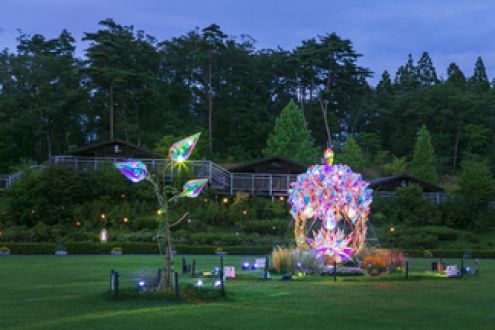 夏のライトアップ♪