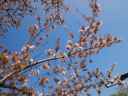 4月6日（月） simple style