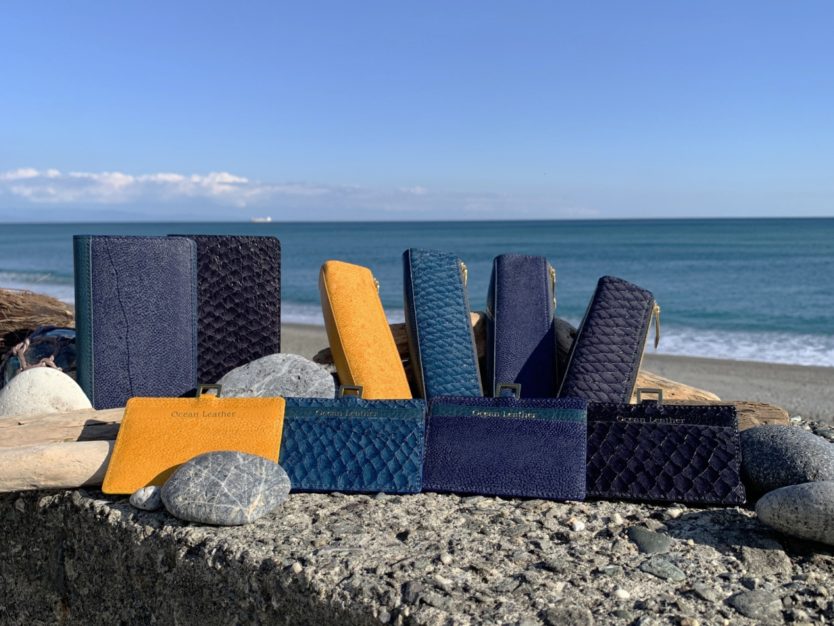 廃棄される魚皮から創ったフィッシュレザー／Ocean Leather 高橋大海さん