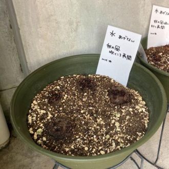 9月23日（水）今日の1コマ