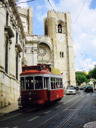 3月28日（月）今日の1コマ