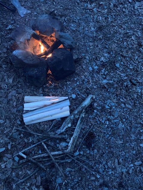 5月14日(金) 今日の1コマ♪