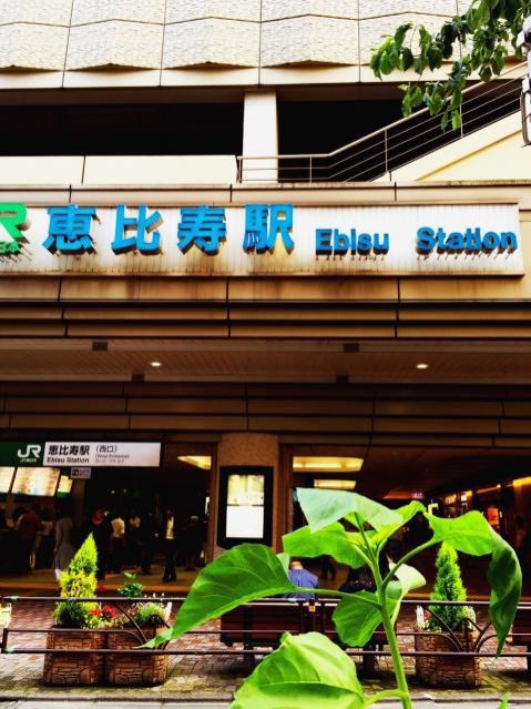 6月30日（木）今日の1コマ