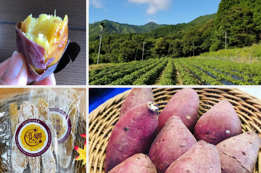 脱サラ⇒オーガニックサツマイモ農家 株式会社喜郷ファーム・梅田学宏さん