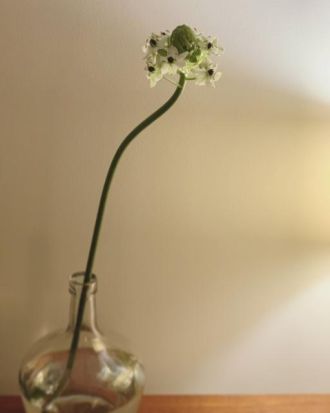 10月30日(金) 今日の1コマ♪