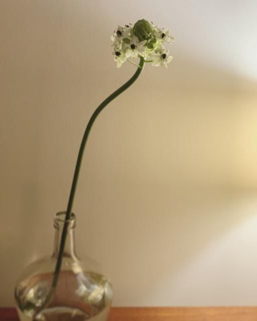 10月30日(金) 今日の1コマ♪