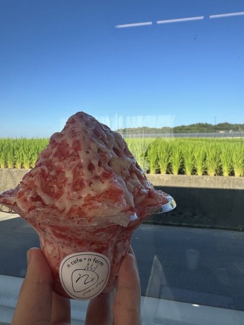 第125回「いちご農家さんって、夏はどんな作業をしている？！」2024.8.13OA