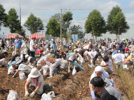 街フェス・オン・サンデー