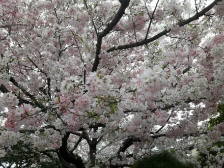 4月10日（月）  simple style