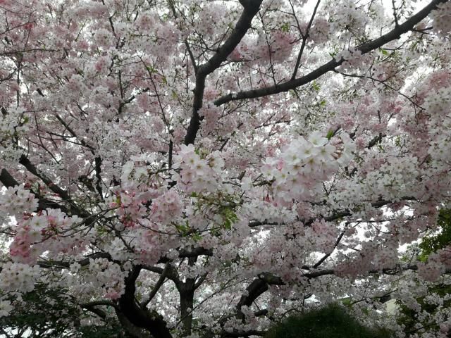 4月10日（月）  simple style