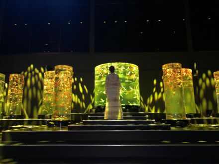 アートアクアリウムを通じて、日本の伝統文化をみなさんへ！【ゲスト：アートアクアリウム美術館・総合プロデューサー 木村英智さん】