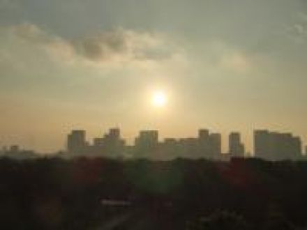 ８月２９日（木）