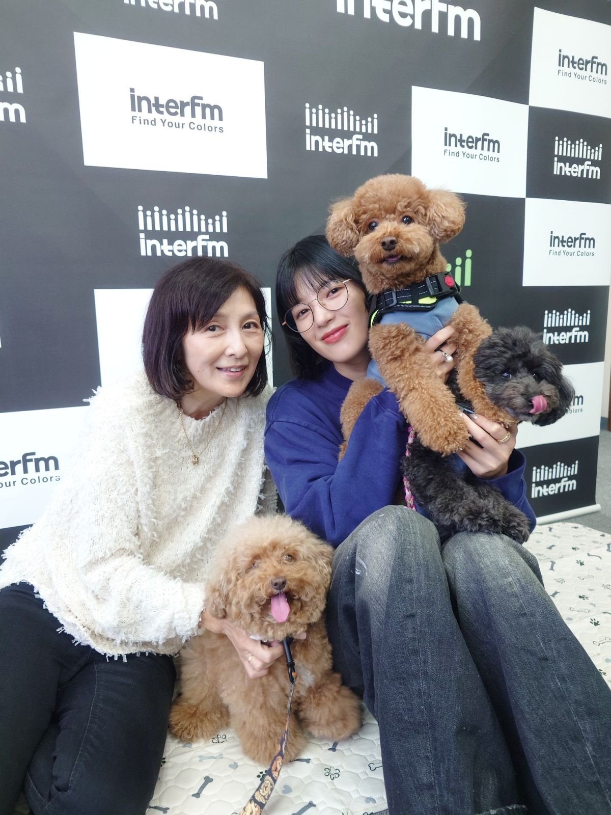 ?️朝みみ！トーク　俳優 石井杏奈さん が  愛犬??56・96と登場　／　２匹のトイプードル君たちは元気いっぱい。スタジオにはどんなバッグに入ってるのかな？