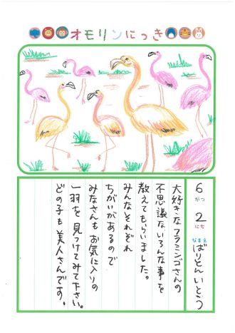 2024年6月2日「フラミンゴさんをみできましたよ」