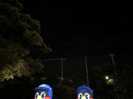 7月17日（火）今日の1コマ